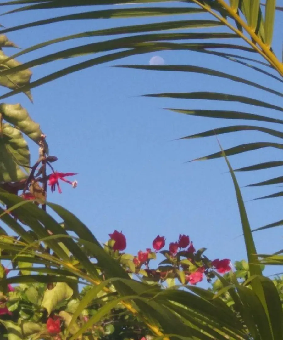 Spiritual Luxury 4Br Pool&Roofterrac Getsemani New Βίλα Cartagena